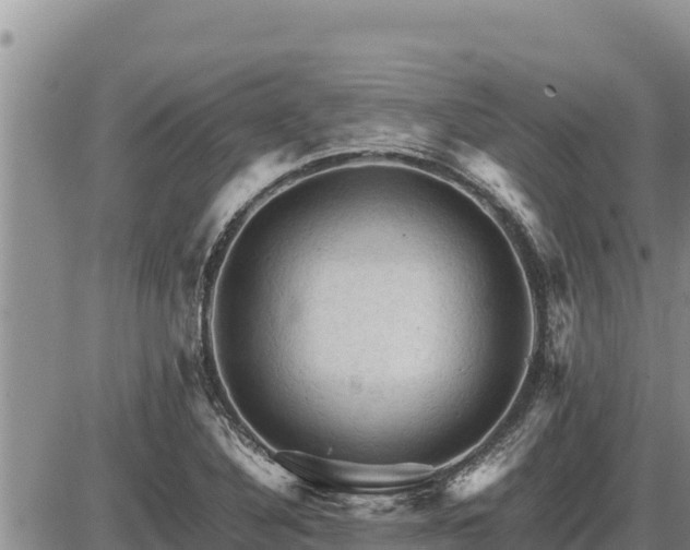 X0000087421316200704271727