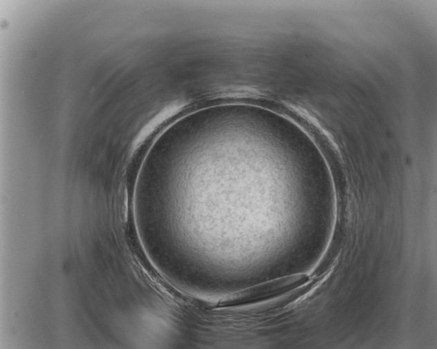 X0000087421317200704271727