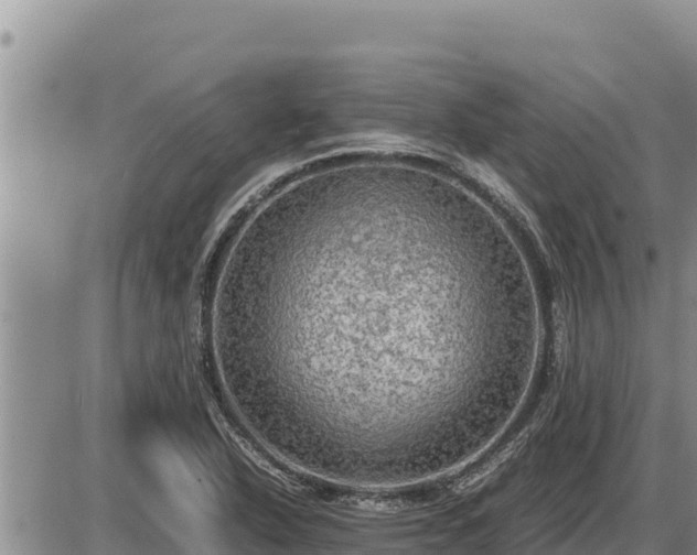 X0000087421318200704271727