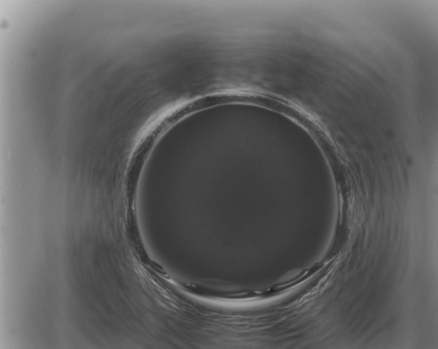 X0000087421319200704271727