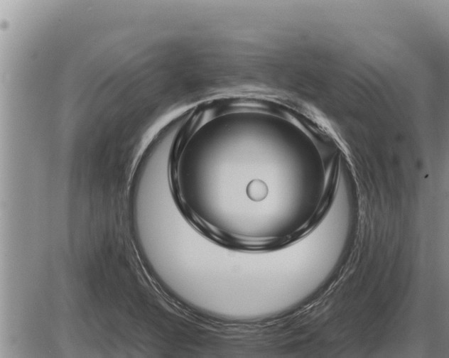 X0000087421320200704271727