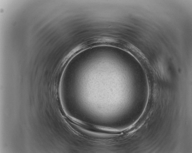 X0000087421321200704271727