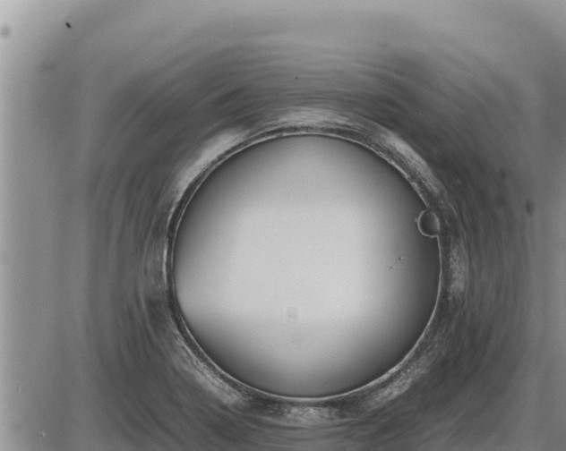 X0000087421322200704271727