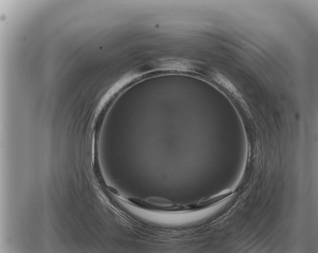 X0000087421323200704271727