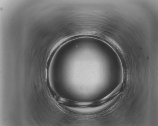 X0000087421324200704271727