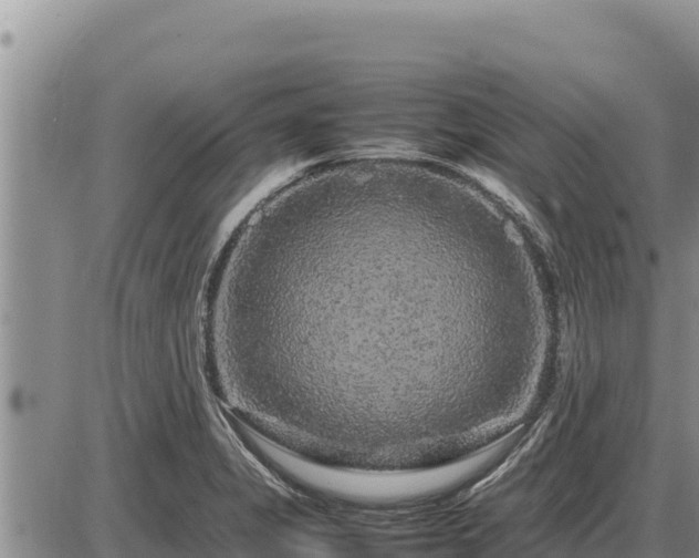 X0000087421325200704271727