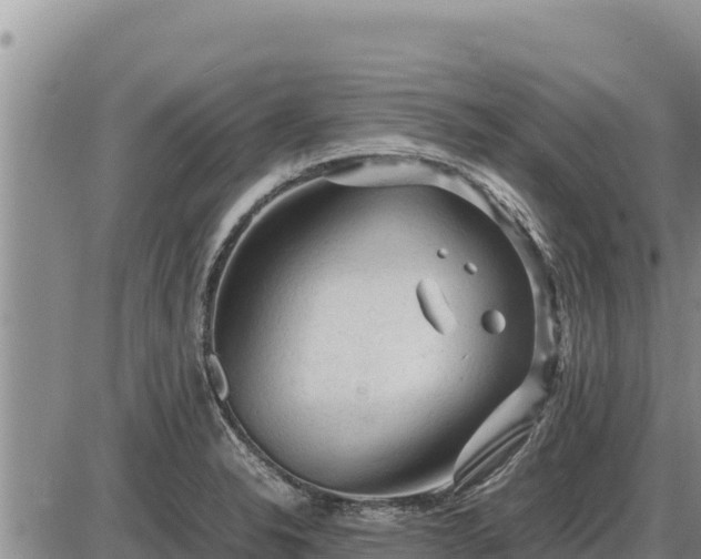 X0000087421326200704271727