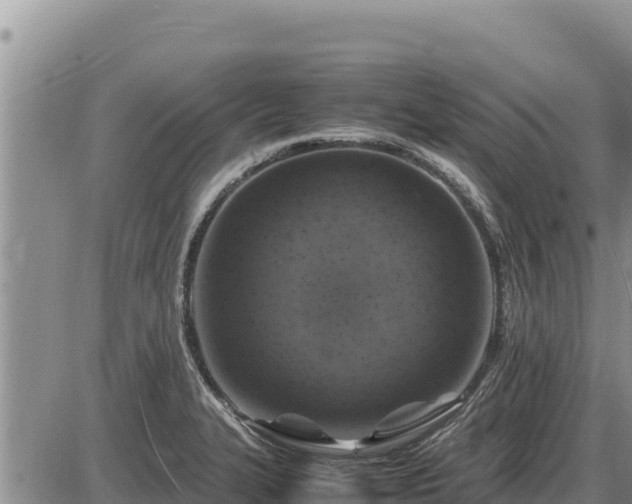 X0000087421327200704271727