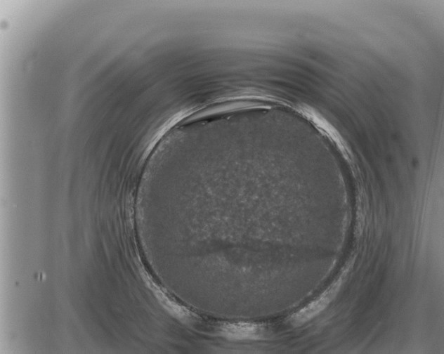 X0000087421329200704271727