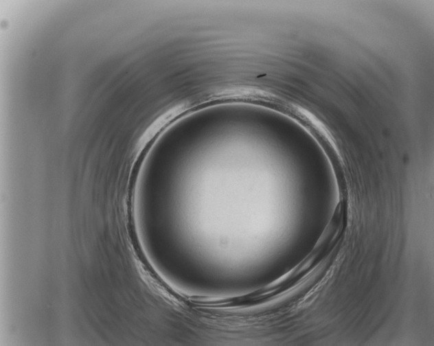 X0000087421330200704271727