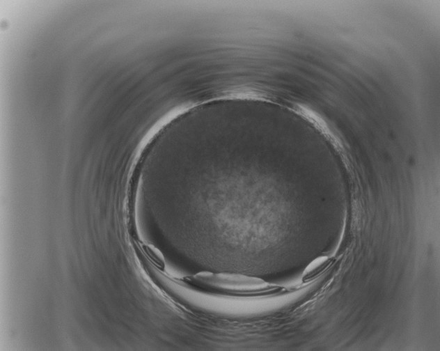 X0000087421331200704271727