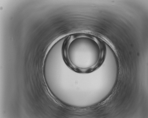 X0000087421332200704271727