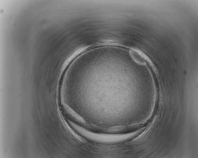 X0000087421333200704271727