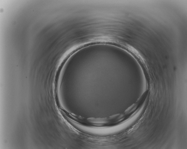 X0000087421334200704271727