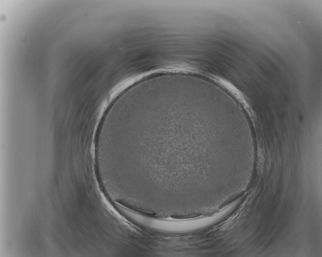 X0000087421335200704271727