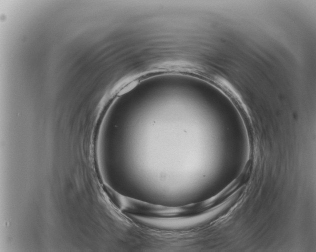 X0000087421336200704271727