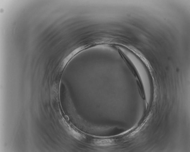 X0000087421337200704271727