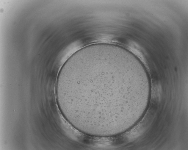 X0000087421338200704271727