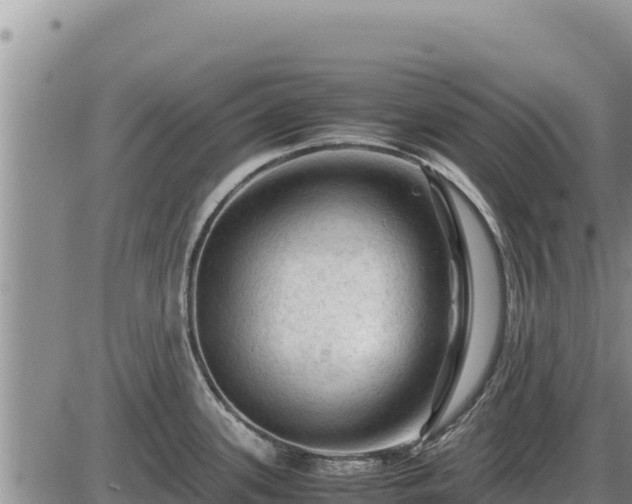 X0000087421339200704271727