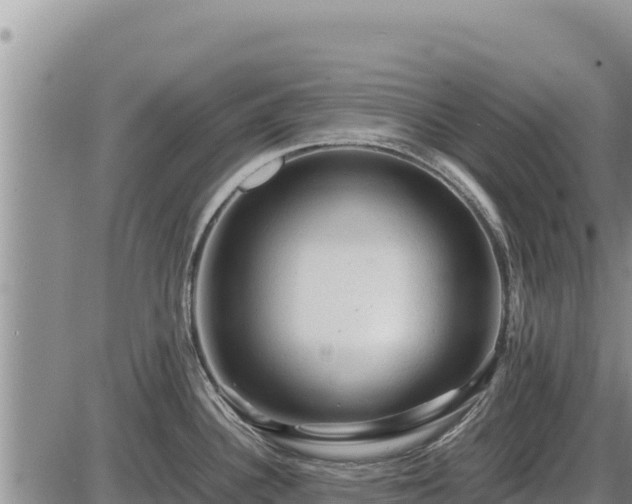 X0000087421340200704271728