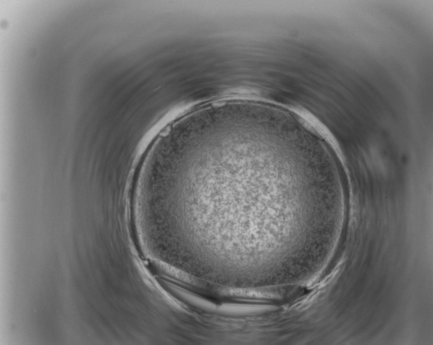 X0000087421341200704271728