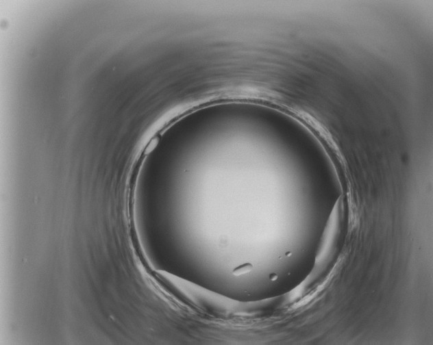 X0000087421342200704271728