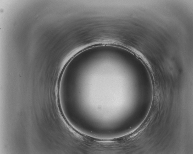 X0000087421343200704271728