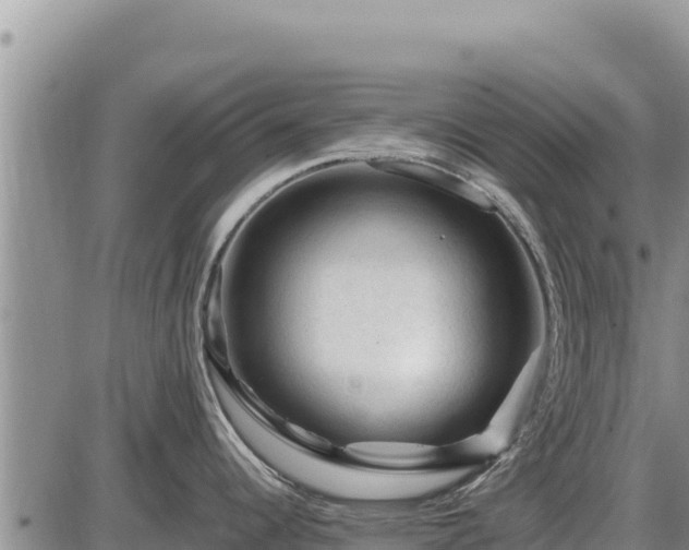 X0000087421344200704271728