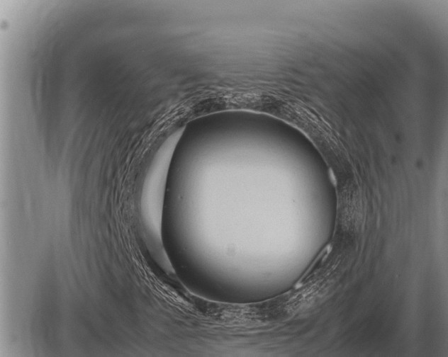 X0000087421345200704271727