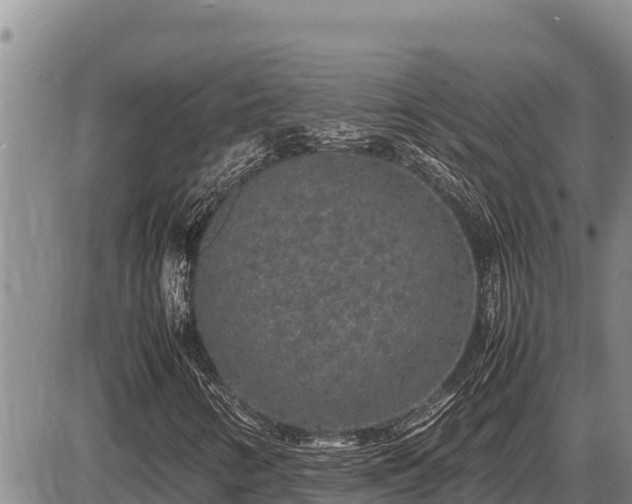 X0000087421346200704271727