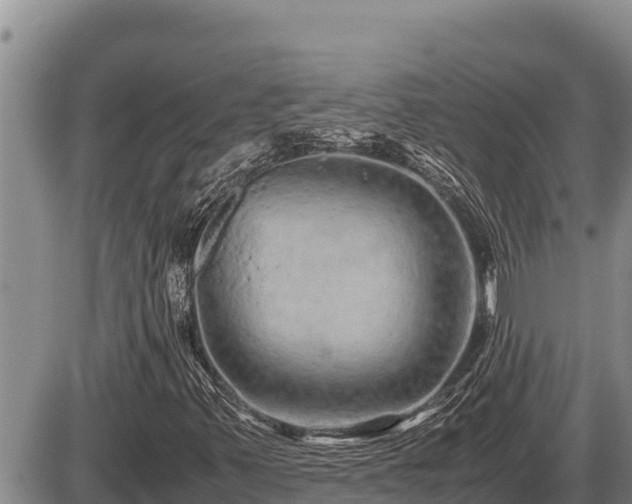 X0000087421347200704271727