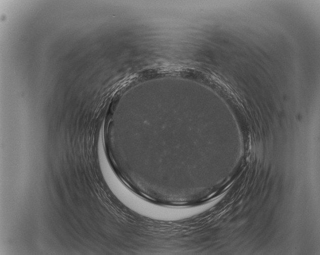 X0000087421348200704271727