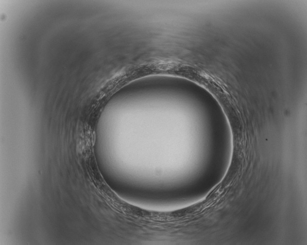 X0000087421349200704271727