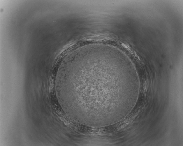 X0000087421350200704271727