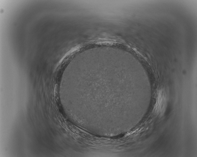 X0000087421351200704271727