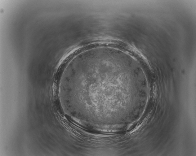 X0000087421352200704271727