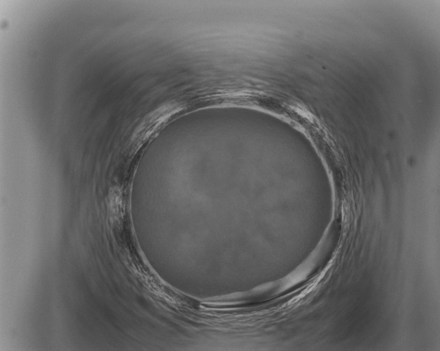 X0000087421353200704271727