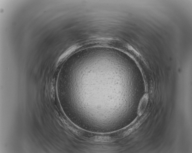 X0000087421354200704271727