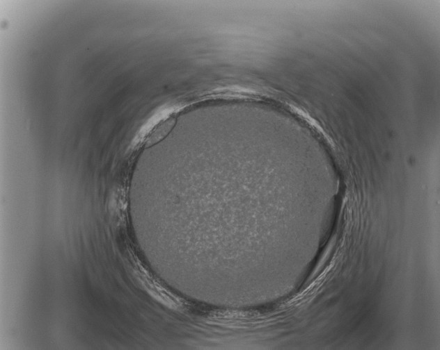 X0000087421355200704271727