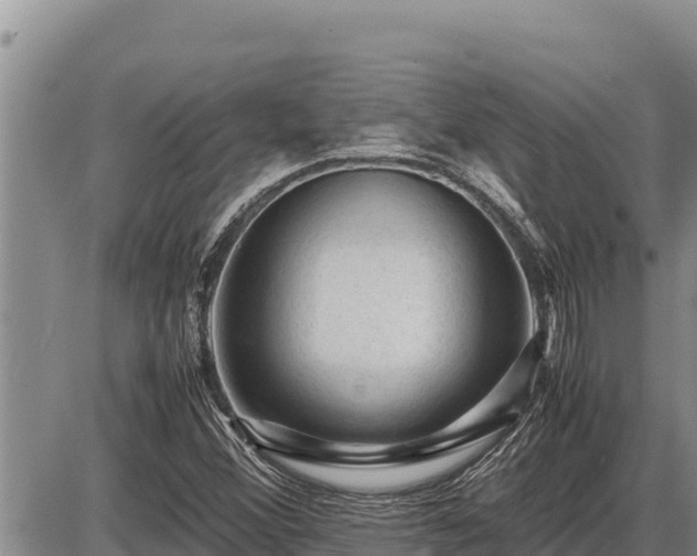 X0000087421356200704271727