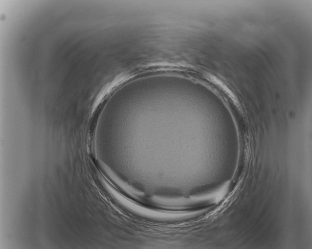 X0000087421357200704271727