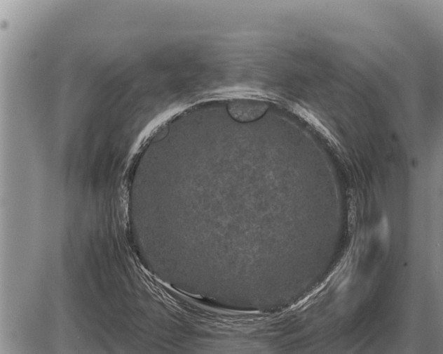 X0000087421358200704271727