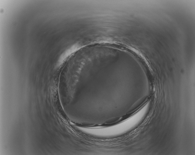 X0000087421359200704271727