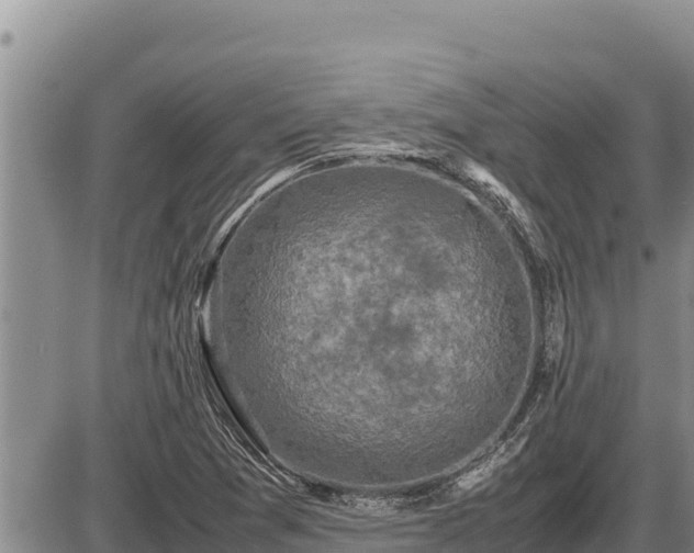 X0000087421361200704271727