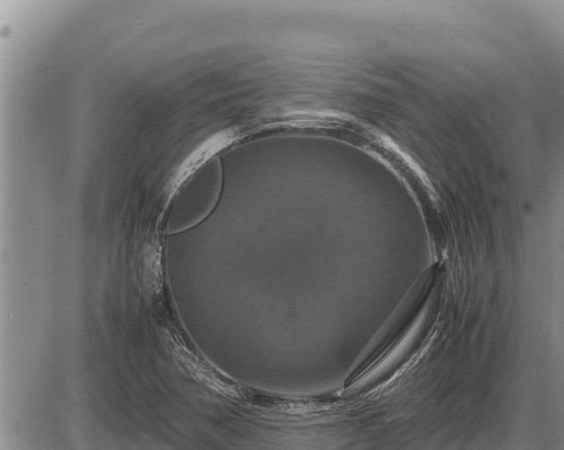 X0000087421362200704271727