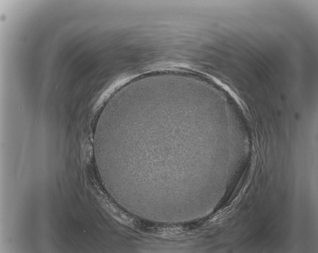 X0000087421363200704271726