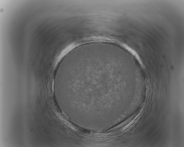 X0000087421365200704271726