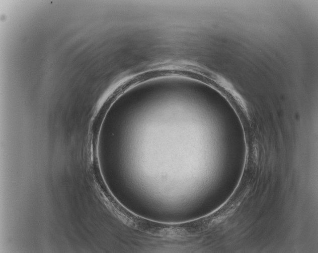 X0000087421368200704271726