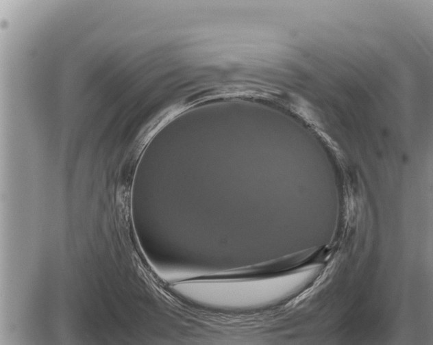 X0000087421369200704271726