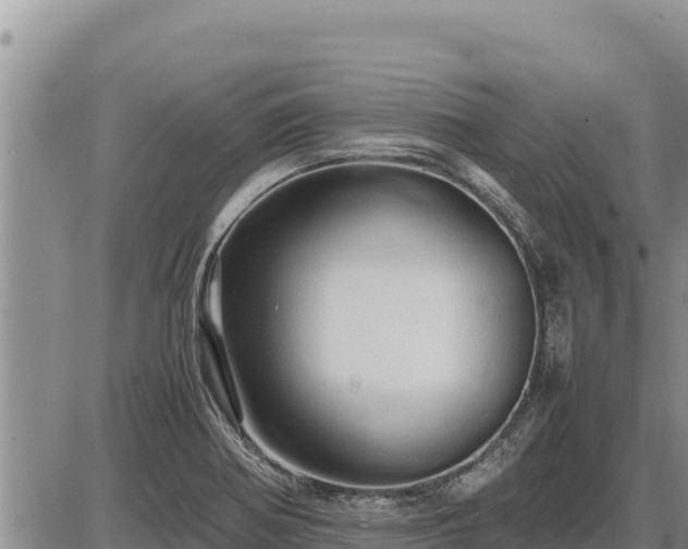 X0000087421370200704271726